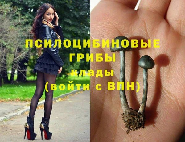 мяу мяу мука Армянск