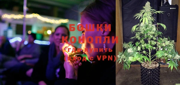 ешки Аркадак
